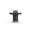 Kép 3/7 - Riwall PRO RGG 21 - gázüzemű grillsütő 10 kW, 2+1 gázégővel(GB01A2401113B_hu)