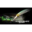 Kép 2/2 - MAJOR CRAFT CEANA JERKBAIT 110SPM MIDDLE 11cm 17gr #014 Holo Tennessee