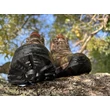 Kép 6/9 - TF Gear Primal X-Trail terep horgász bakancs - 38-as méret