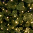 Kép 1/3 - Home ML 250G/WW micro LED-es fényfüzérköteg, 250 db melegfehér micro LED, 10 ágú, vékony, zöld színű vezeték, hálózati adapter, kül- és beltéri kivitel