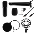 Kép 2/3 - SAL USB mikrofon szett (M 100USB)[SG]
