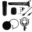 SAL USB mikrofon szett (M 100USB)[SG]