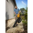 Kép 3/5 - Riwall PRO REBV 3200 E - elektromos lombszívó/lombfúvó 3200 W motorral (EB42A2001060B)