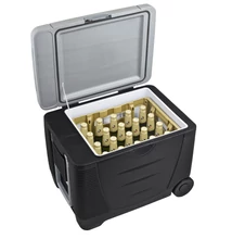 G21 C&W hűtőláda 45 liter, 12/230 V (639052)