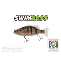BIWAA SWIMBASS 6" SLOW SINK 15cm 65gr 02 Real Perch