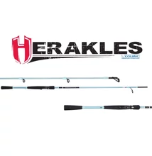 ENIGMA HES2-800H 8' 240cm 20-50gr Heavy