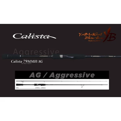 YAMAGA CALISTA 79MMH/AG AGGRESSIVE 2.38m 35gr Fuji Titanium Torzite