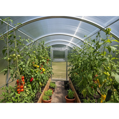 üvegház VITAVIA BOHEMY 24000 PC 4 mm LG4180 üvegház VITAVIA BOHEMY 24000 PC 4 mm LG4180