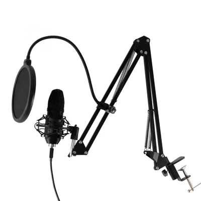 SAL USB mikrofon szett (M 100USB)[SG]