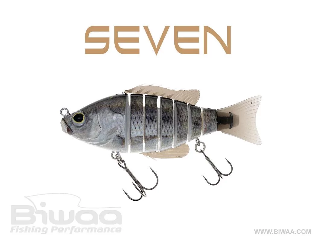 BIWAA SEVEN S5