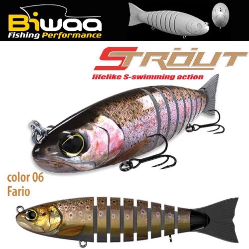 BIWAA STROUT 5.5