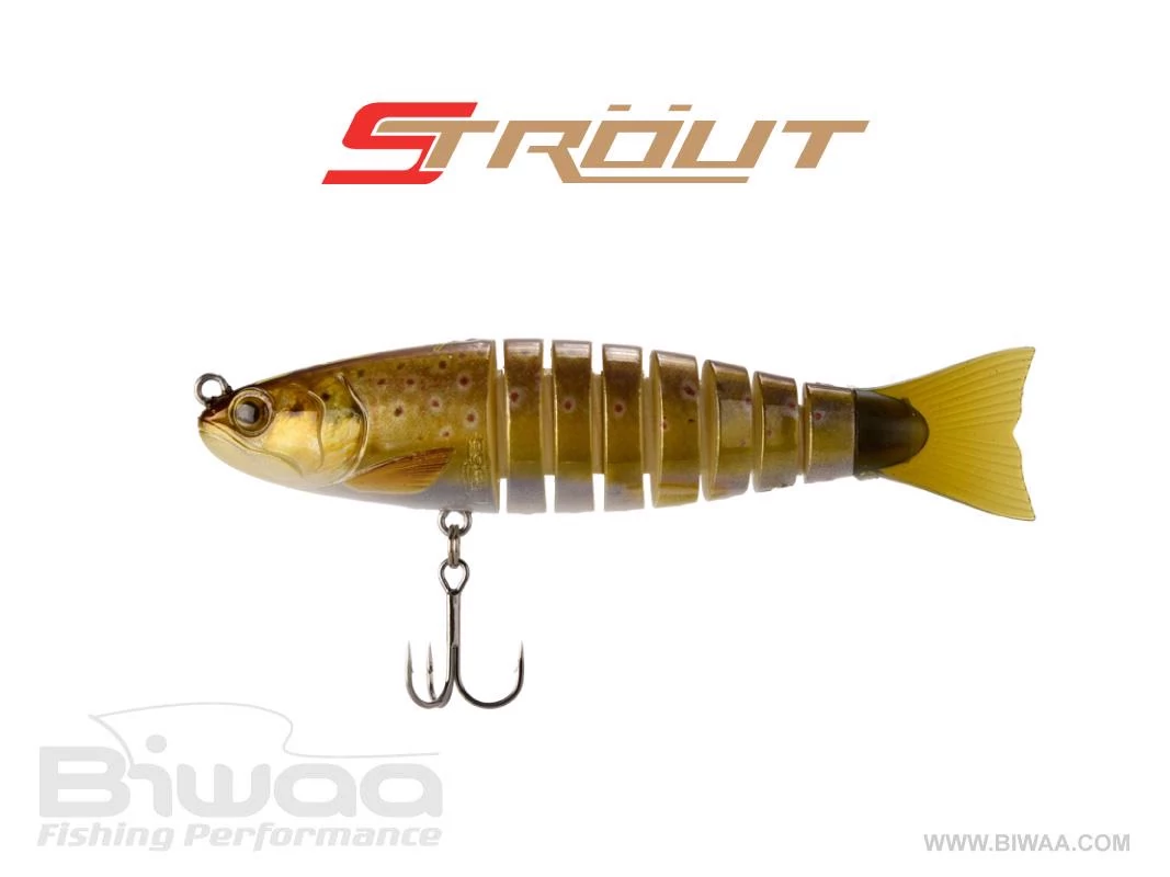 BIWAA STROUT 3.5