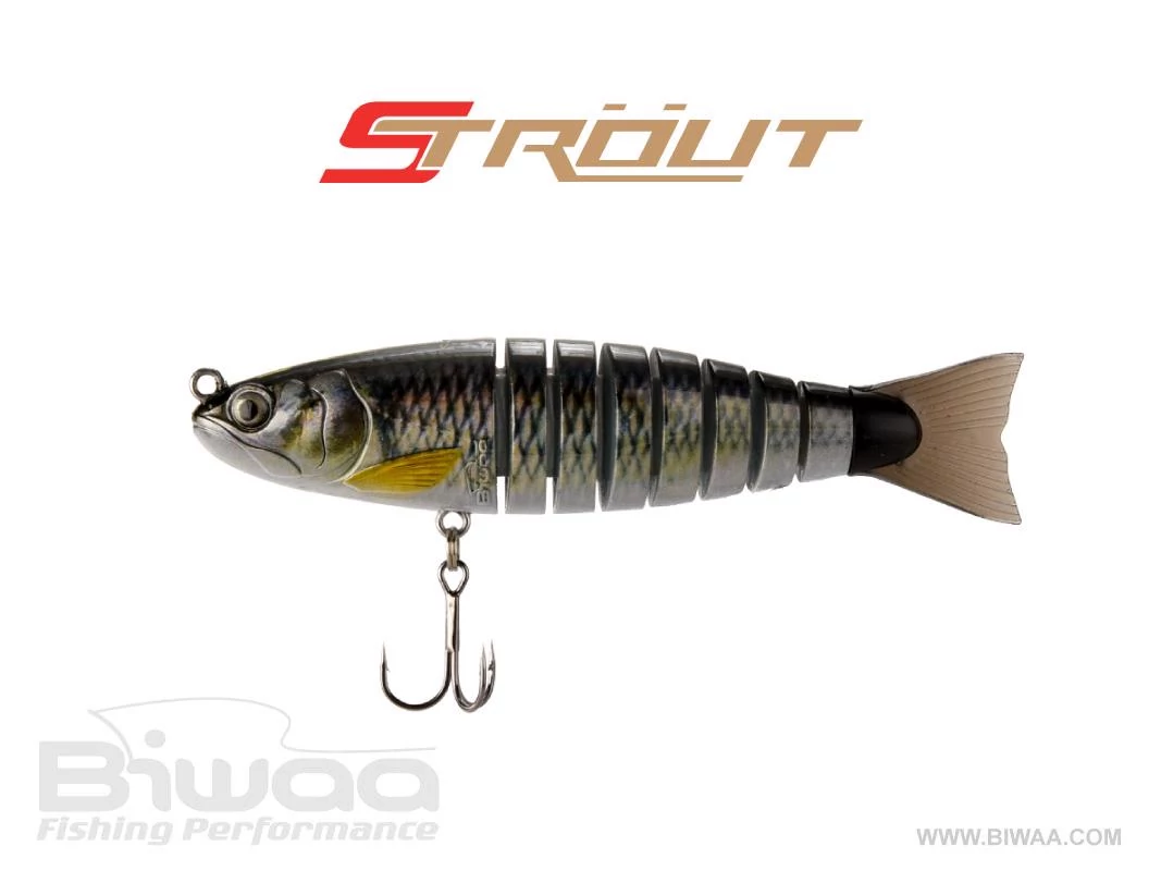 BIWAA STROUT 3.5