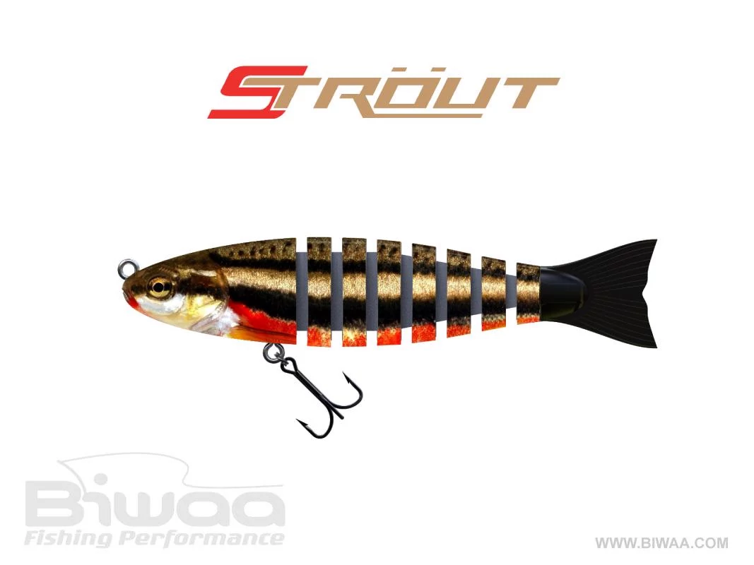 BIWAA STROUT 3.5