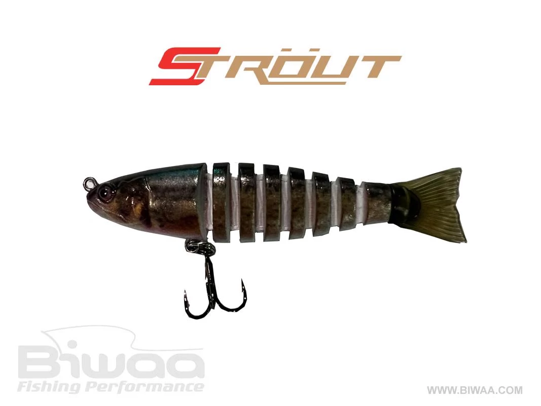BIWAA STROUT 3.5