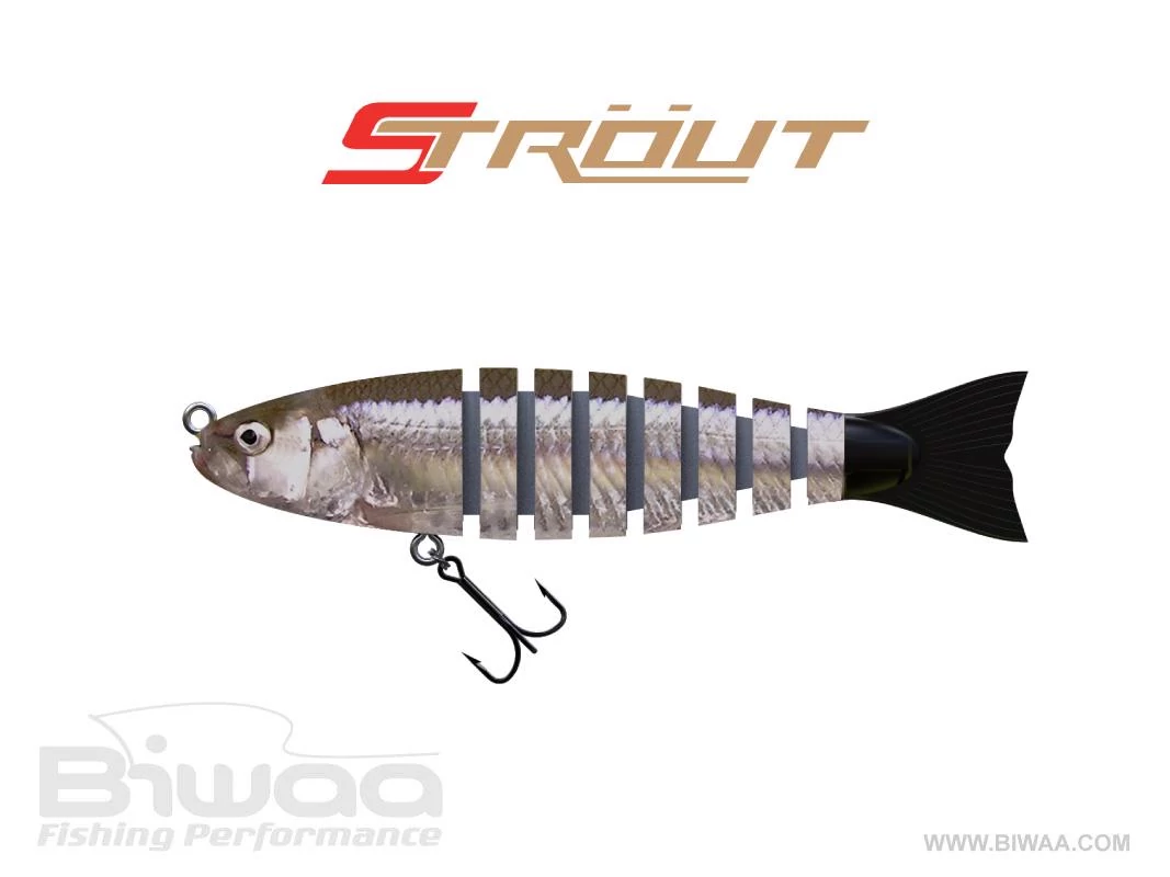 BIWAA STROUT 3.5