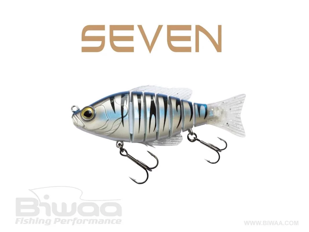 BIWAA SEVEN S4