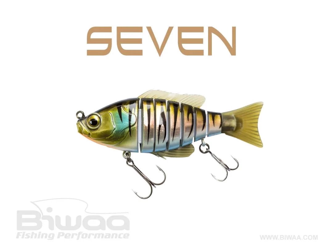 BIWAA SEVEN S4