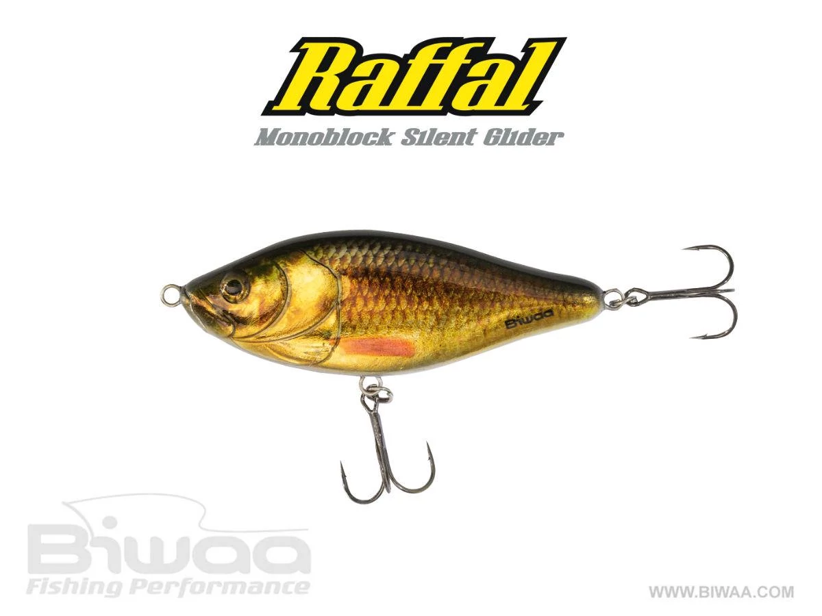 BIWAA RAFFAL GLIDER 4