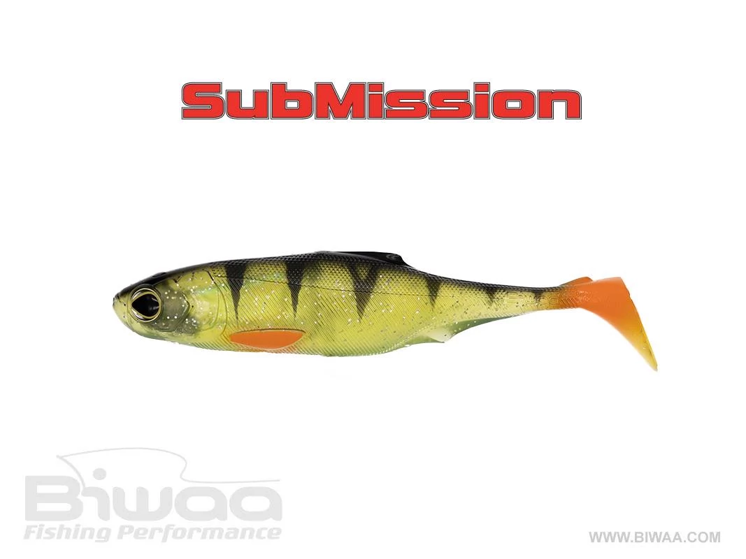 BIWAA SUBMISSION 5
