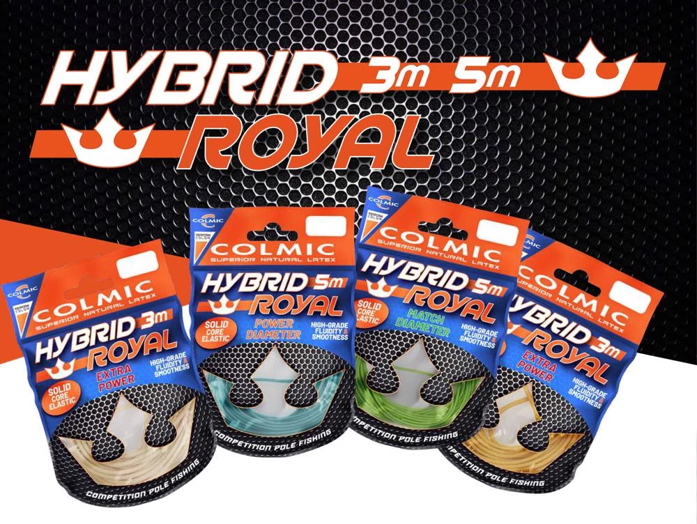 COLMIC HYBRID ROYAL SOLID ELASTIC 5mt 2.20mm