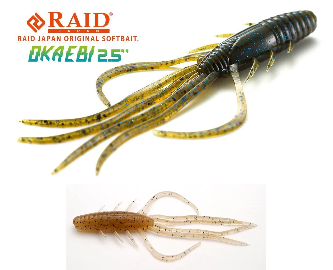 RAID OKA EBI 2.5