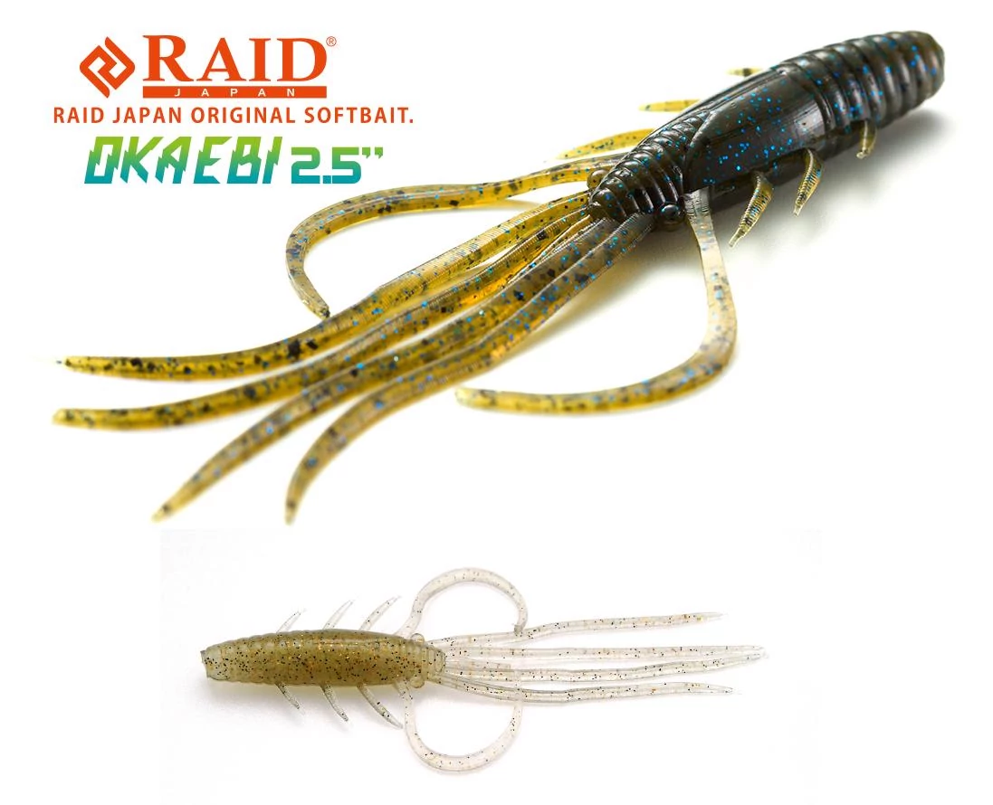 RAID OKA EBI 2.5